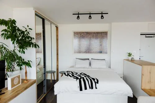 Studio Penthouse