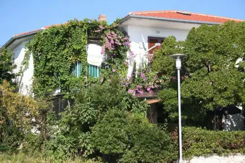 Apartment Petar
