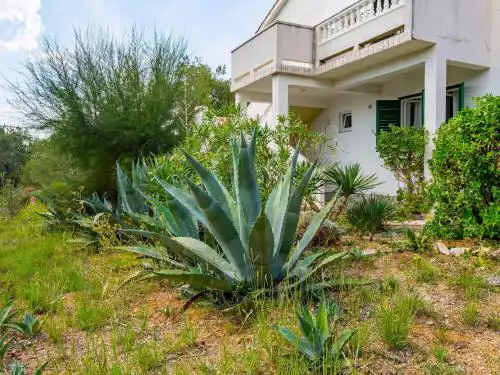 Apartments in Barbat - Insel Rab 17610