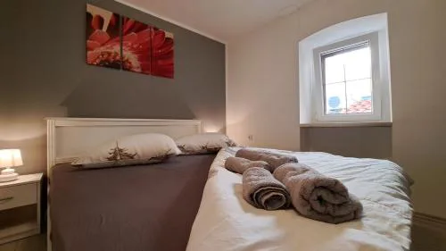APARTMENT IVA