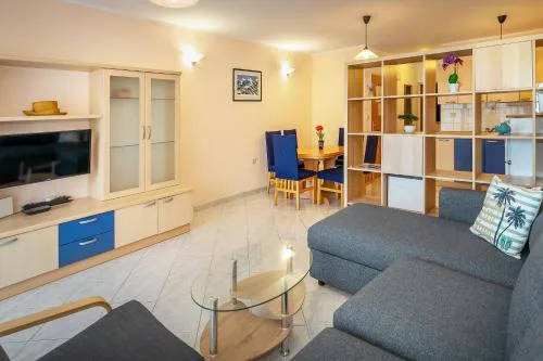 Apartment Mirna