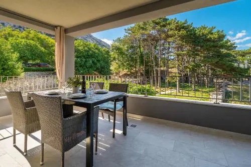 Deluxe Apartments Kovac with Terrace