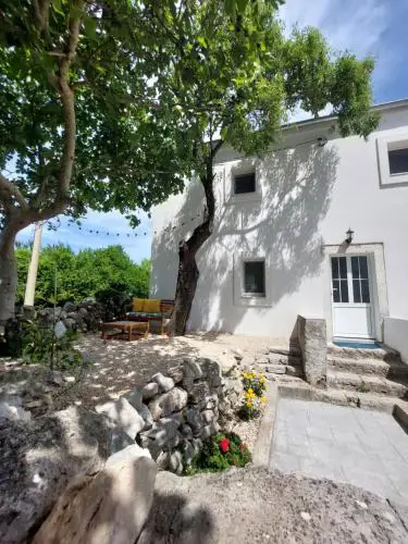 House Belej - Lola
