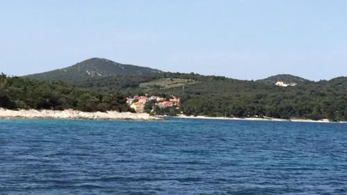 Apartmani Artatore