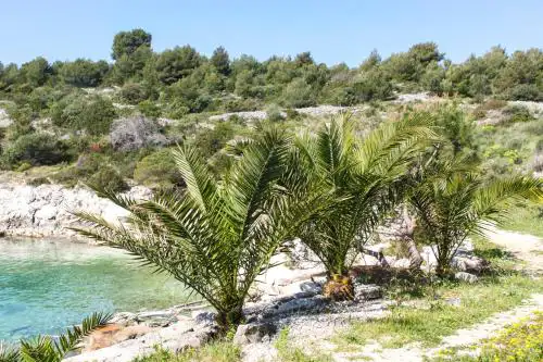 Vila Tatinja