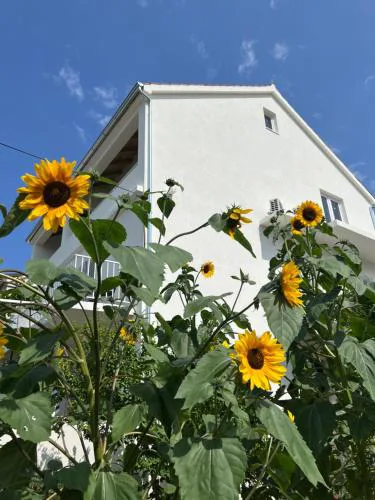 Apartments Nikola Stipišić