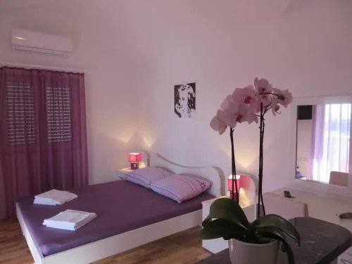 Apartments Petar II