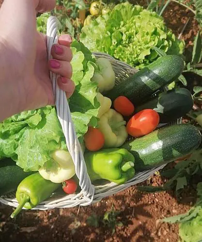 Piccolo Giardino