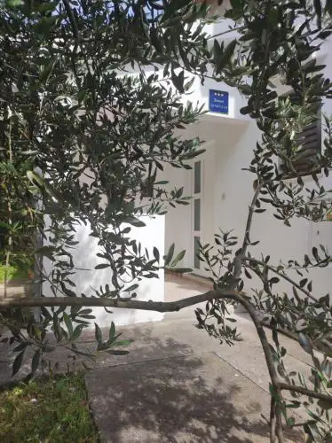 Apartment Olive II