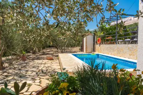 Plum Holiday Home