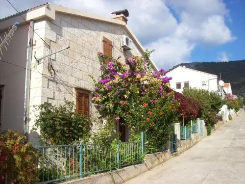 Apartments Dina