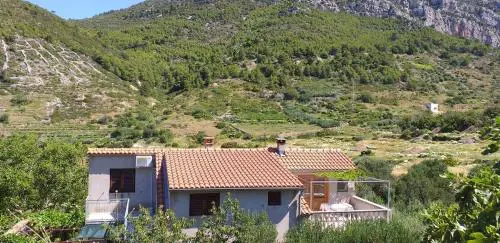 Apartments with parking space Komiza, Vis - 22657