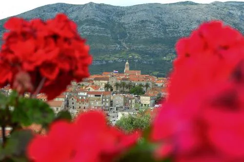 Accommodation Drasko