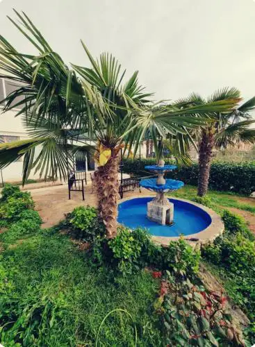 Apartman Viki
