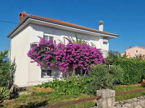 Apartment Šoštarić