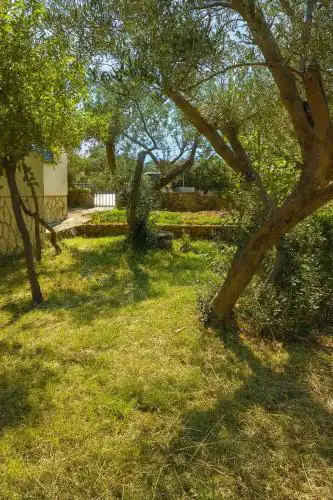 Knaffl Apartment