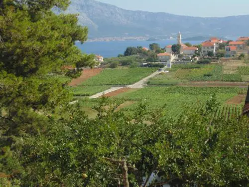 VILLA Apartments Mate Cebalo