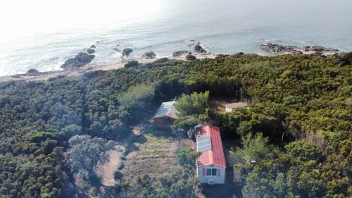 Apartments by the sea Cove Kurila, Losinj - 24571