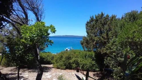 Casula Mediterranea