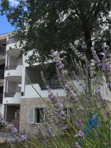 Apartmani Ana