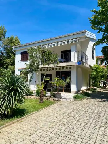 Apartment Olive Groove