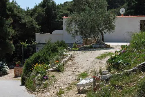 Apartments with parking space Cove Saplunara, Mljet - 4923
