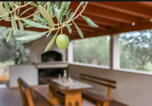 HOLIDAY HOUSE Ose