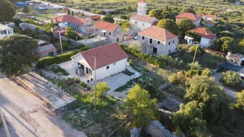 House Pavicic