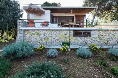 House Viki