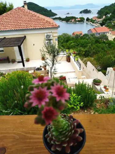 VILA ROZA