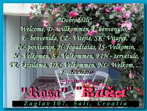 Apartment Ruza