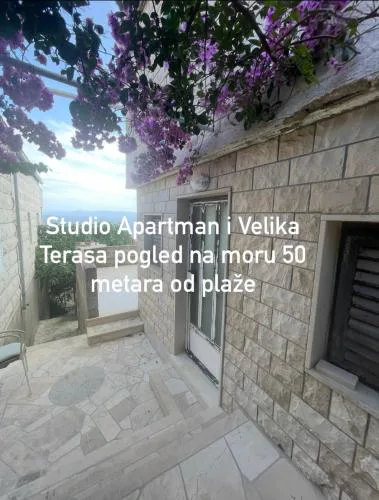 Studio Apartment Bella