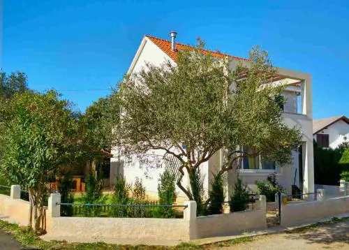 Maslina Tree House