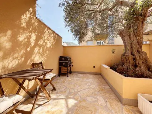 Olive Tree