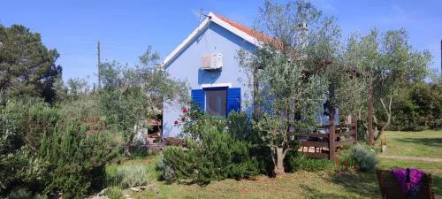 Holiday home Mola