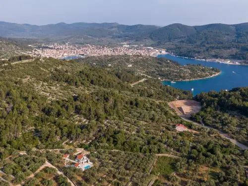 Family friendly house with a swimming pool Vela Luka, Korcula - 23698