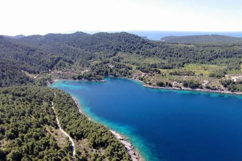 Holiday house Ivko - Korcula