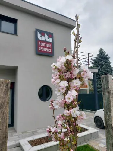 Titi Boutique Apartmanok