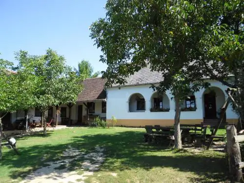 Ferencz Porta