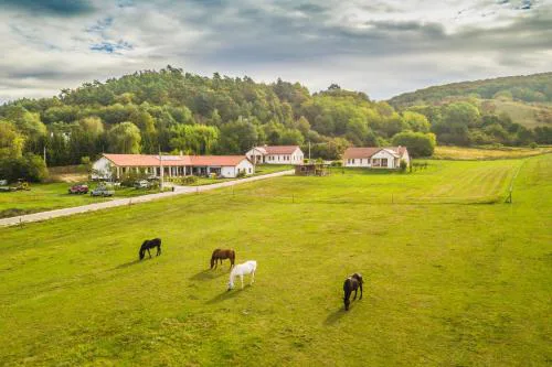 Bánvölgye Vendégház és Apartmanok
