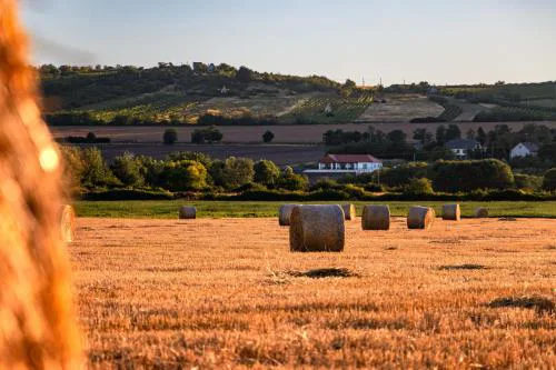 HorizOND Vendégház