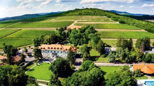 Castle Hotel Grof Degenfeld Superior