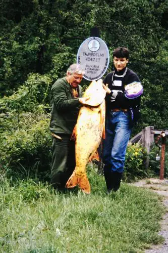 Erdész Vendégház