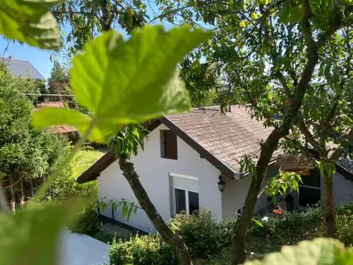 Borostyán Vendégház - Zalaegerszeg