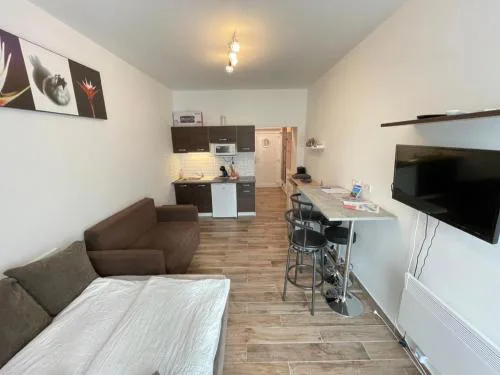 Violett Apartman