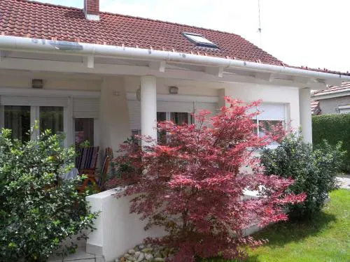 Apartments in Balatonfenyves - Balaton 18466