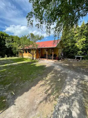 Fenyvesi Kuckó