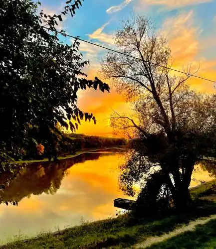 In der Natur 1