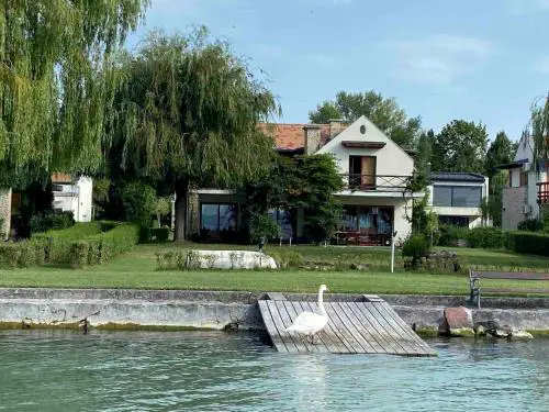 Fűzfavilla