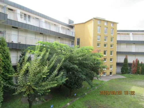 Apartment in Csopak - Balaton 54882
